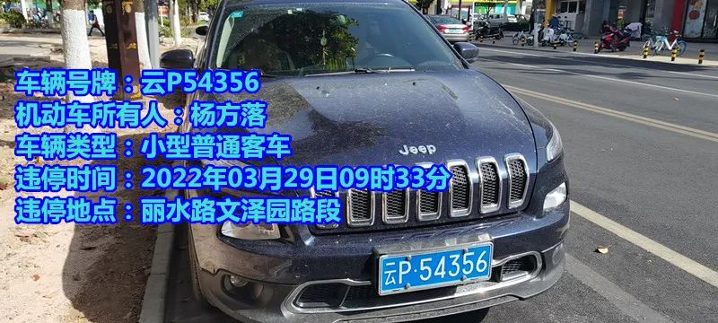 丽江日报