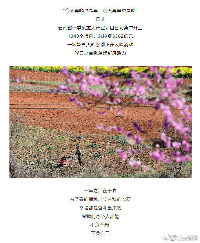呈贡发布