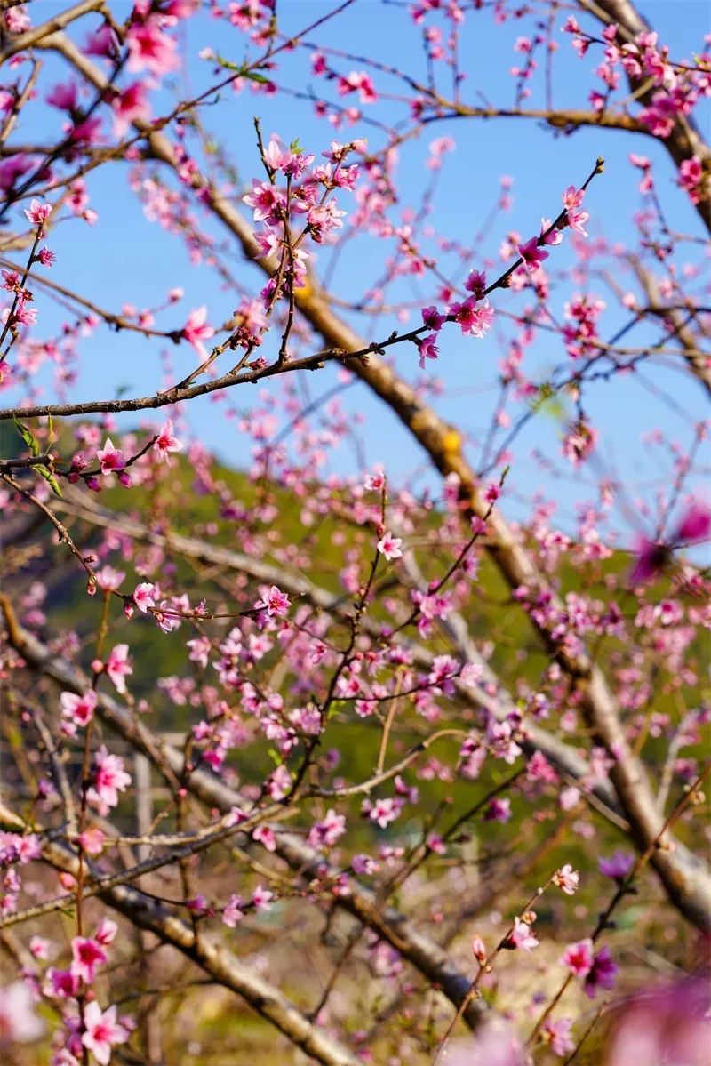 红河文旅