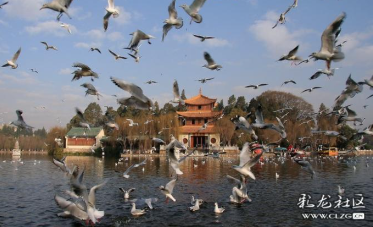 文明昆明
