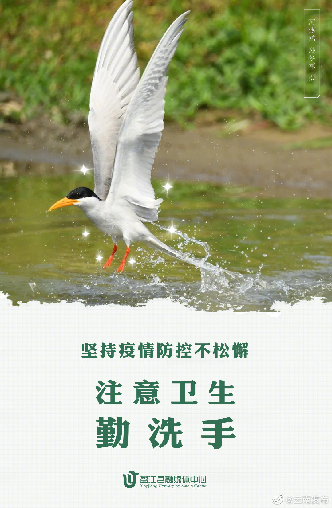 “云南发布”微博