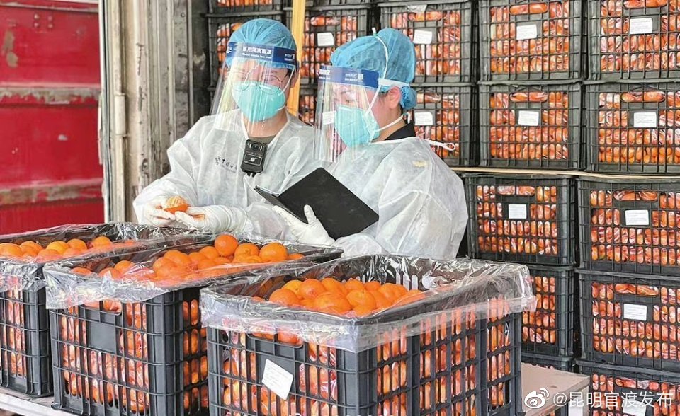 厉害了！云南水果干坚果出口量居全国首位