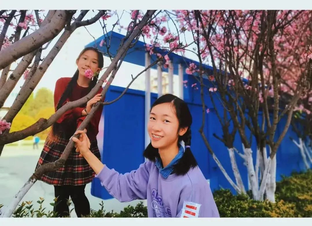 盘龙教育(微信)