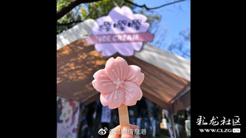 昆明信息港