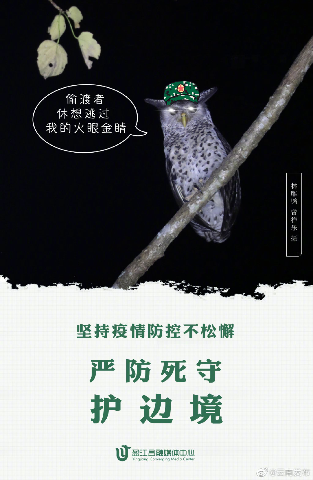 “云南发布”微博