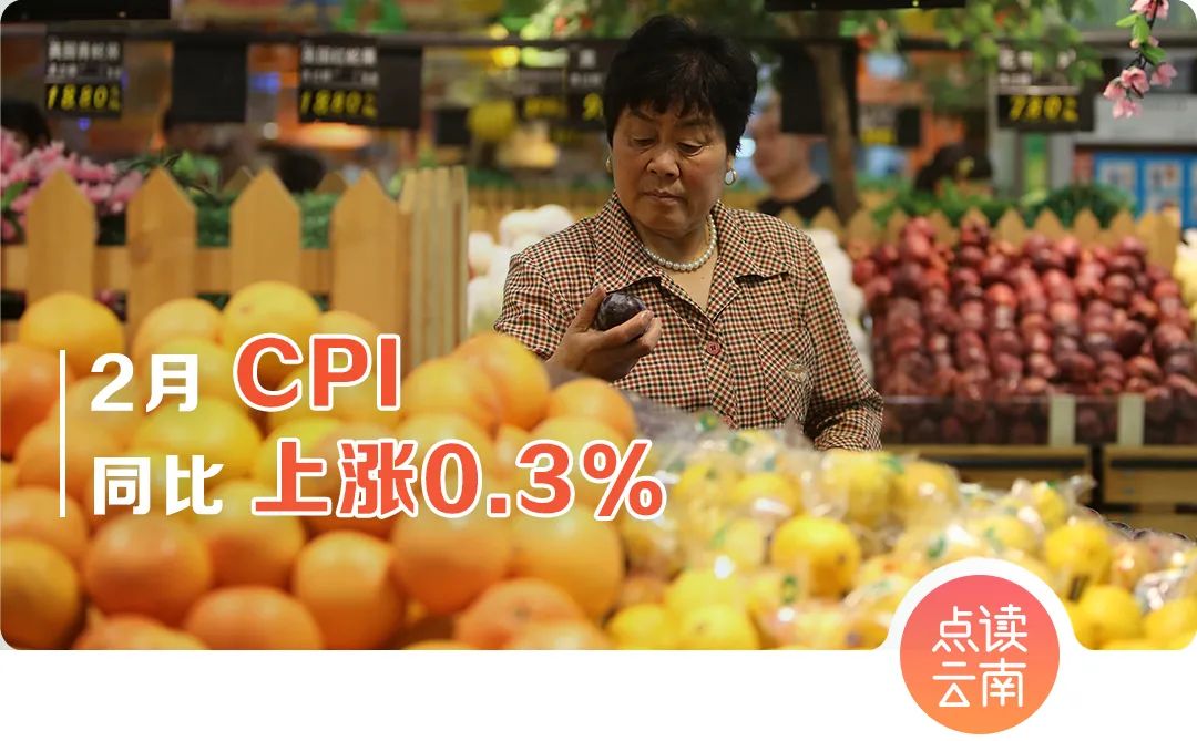 云南省人民政府网
