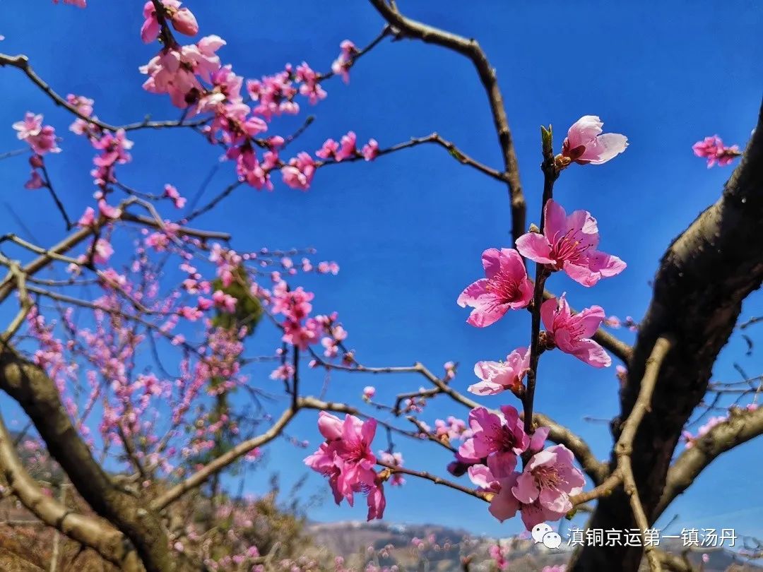 东川发布(微信)
