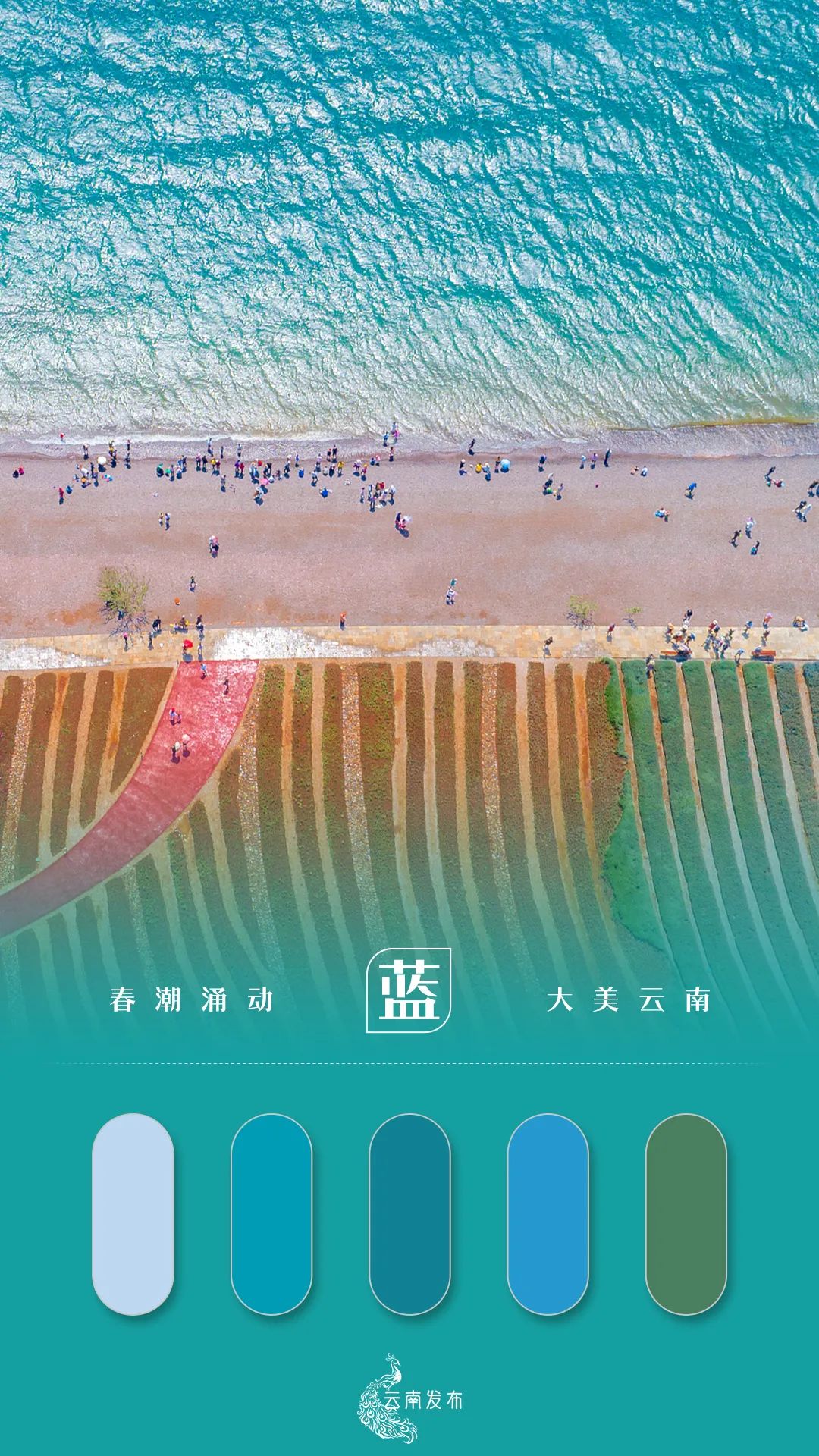 玉溪发布