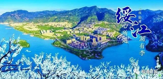 昭通日报