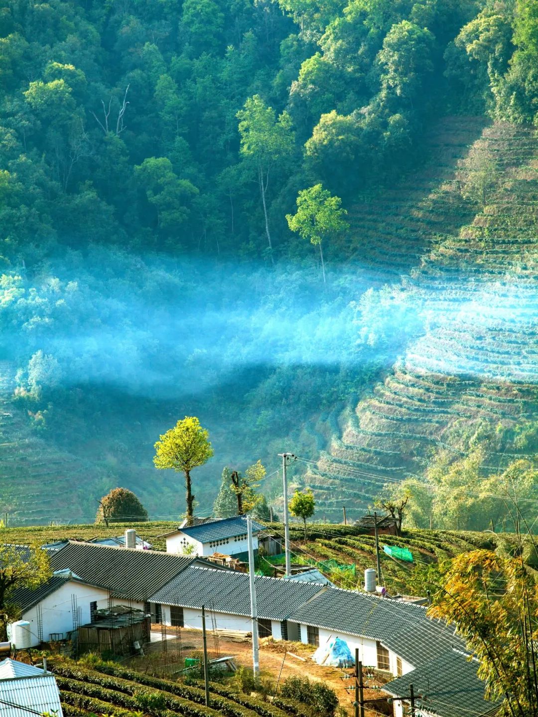 普洱日报