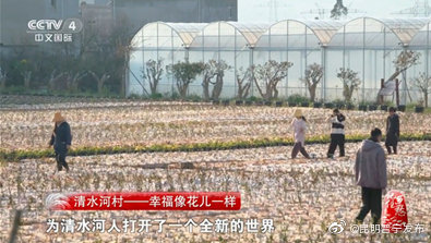 昆明晋宁发布