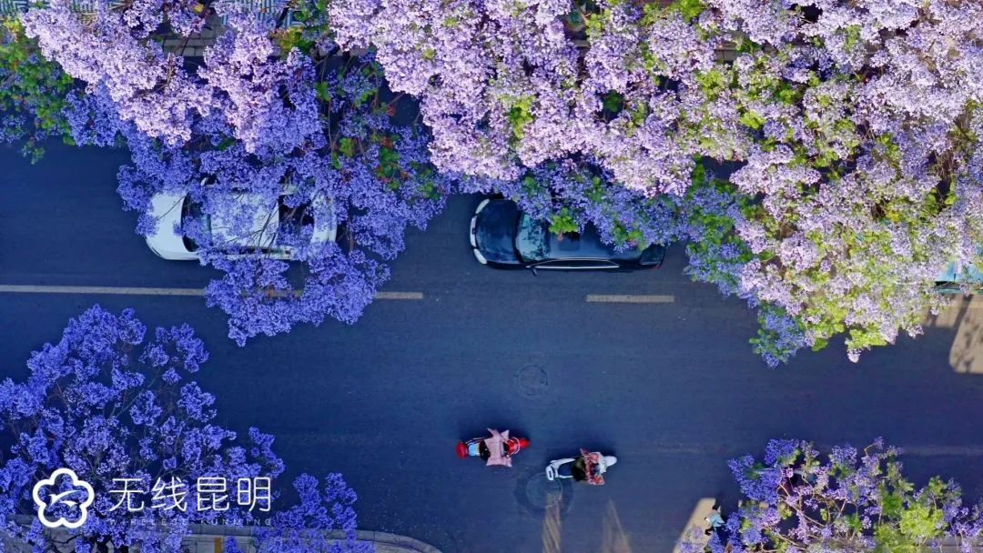 昆明滇池国家旅游度假区管理委员会(微信)