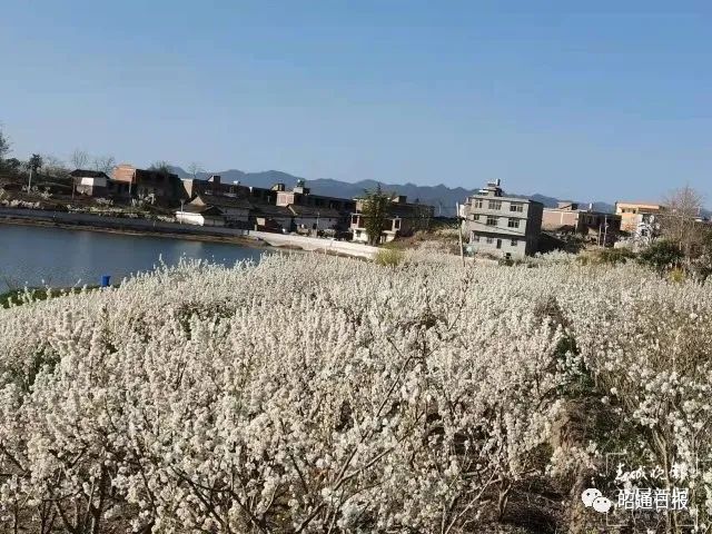 昭通日报