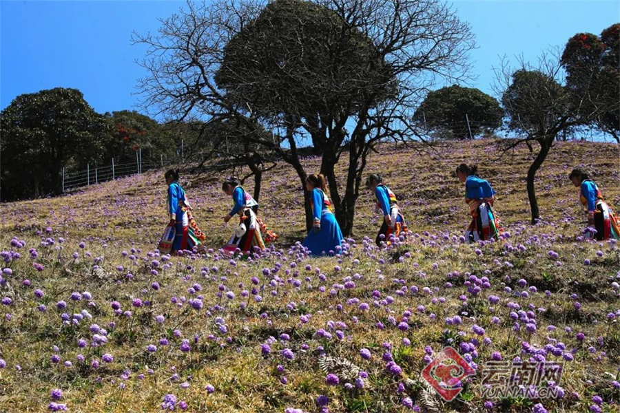 云南省文化和旅游厅