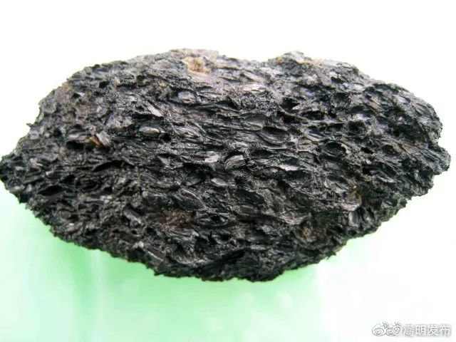 大理新发现：公元前1600年古人就已种植水稻和小米