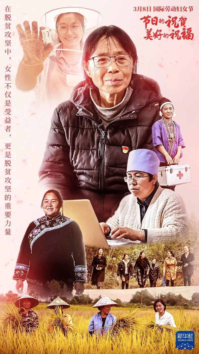 云南迪庆先锋