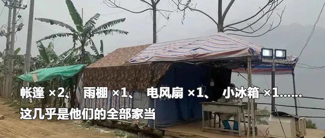 云南政法