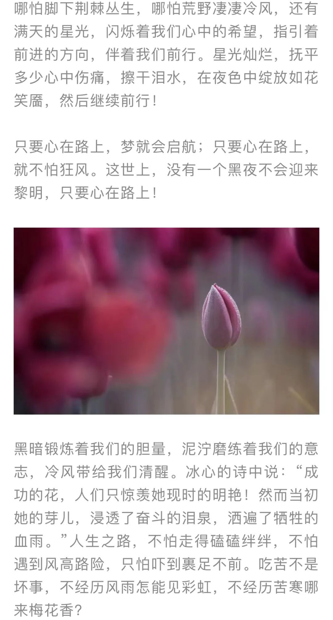 红色扎西