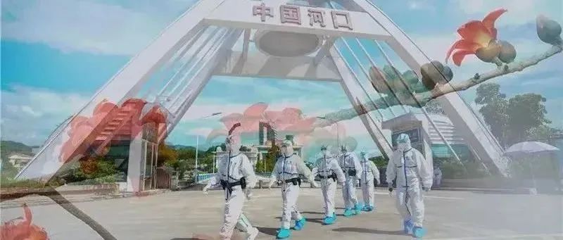 云南政法
