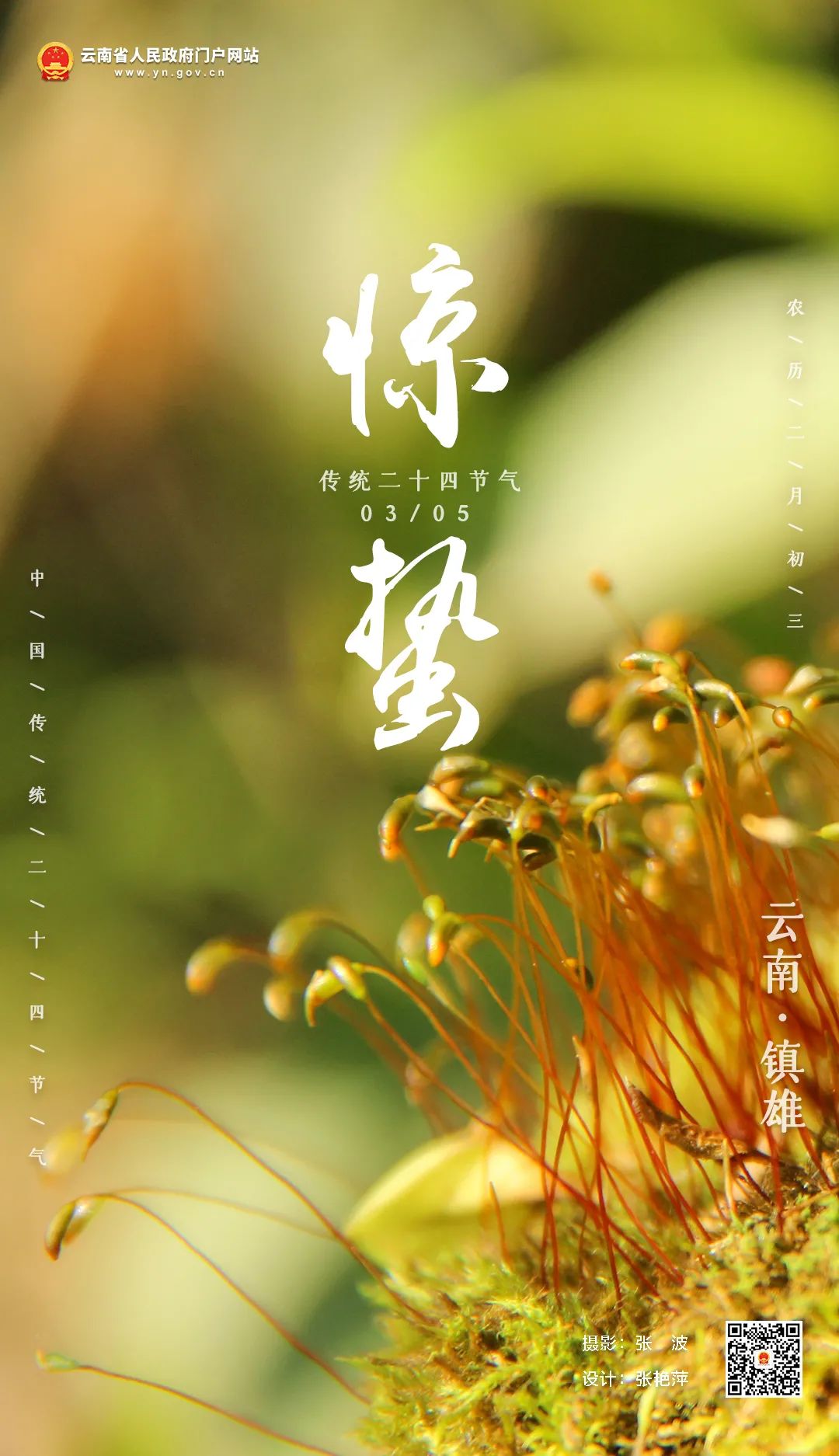 云南省人民政府网