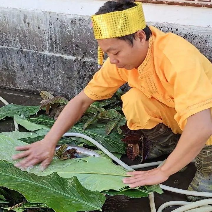 保山新闻网