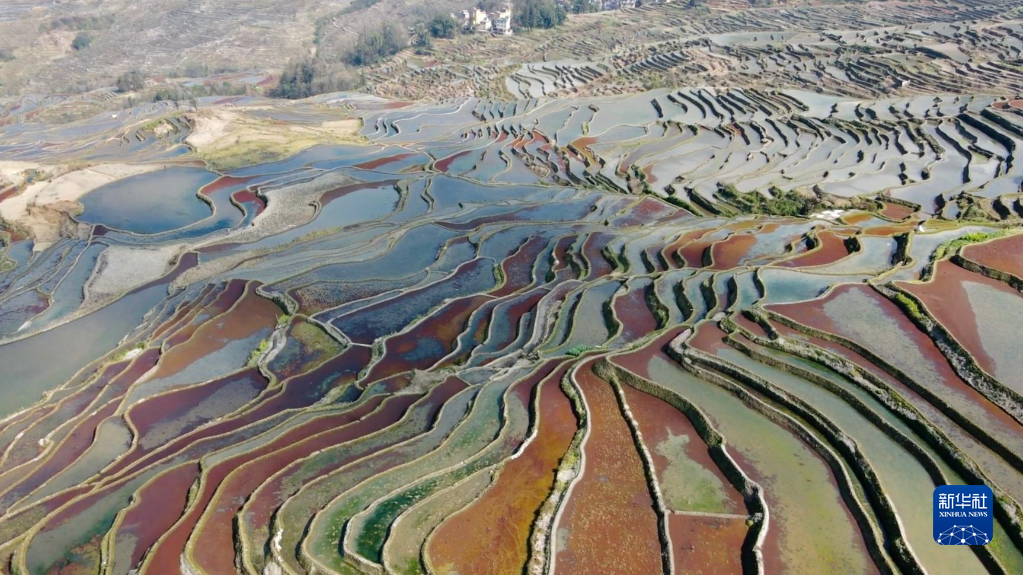 云南省文化和旅游厅
