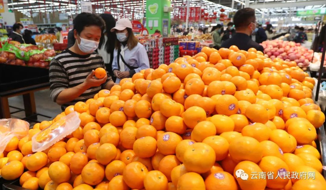 云南省人民政府网