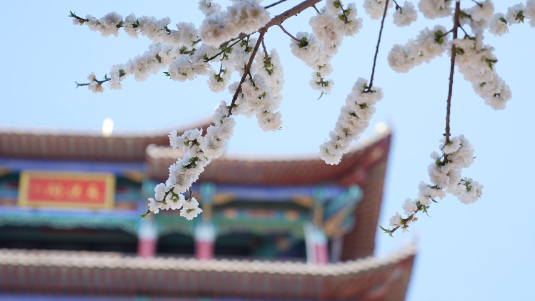 昆明市呈贡区人民法院(微信)