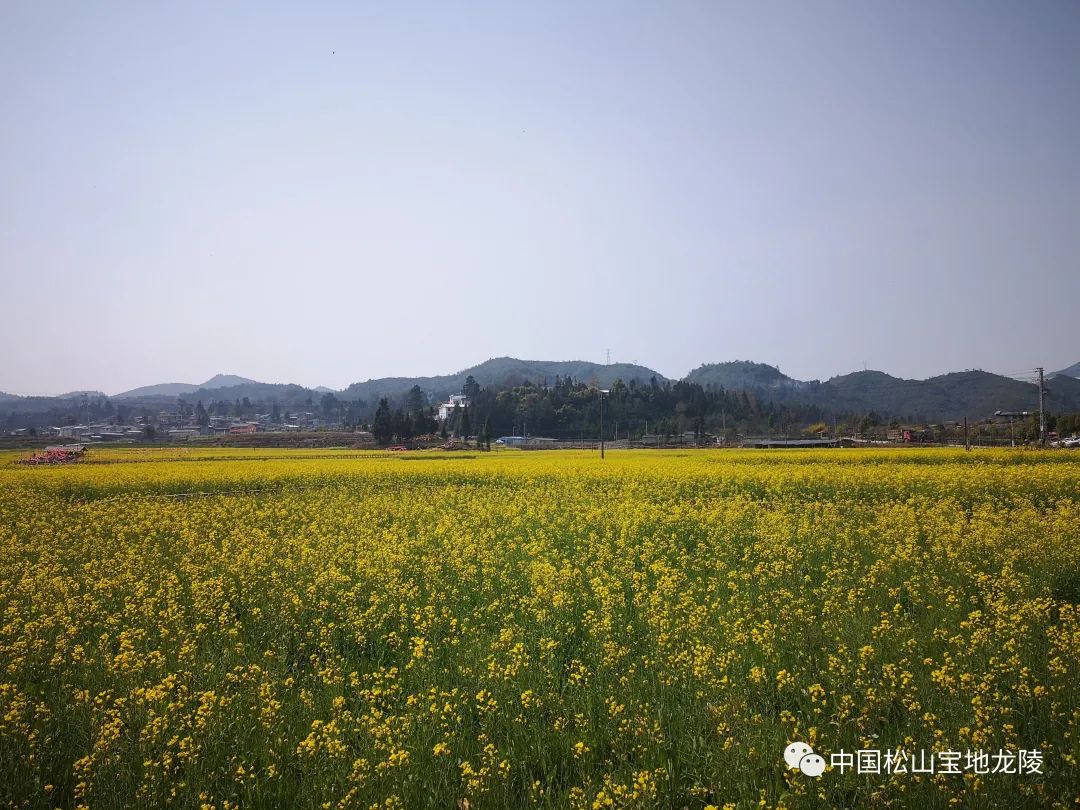 保山新闻网