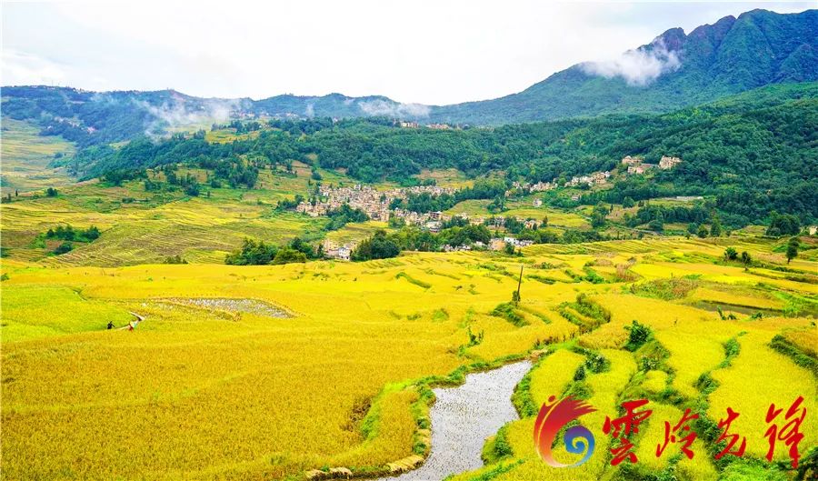 春城晚报