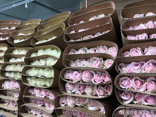 昆明晋宁发布