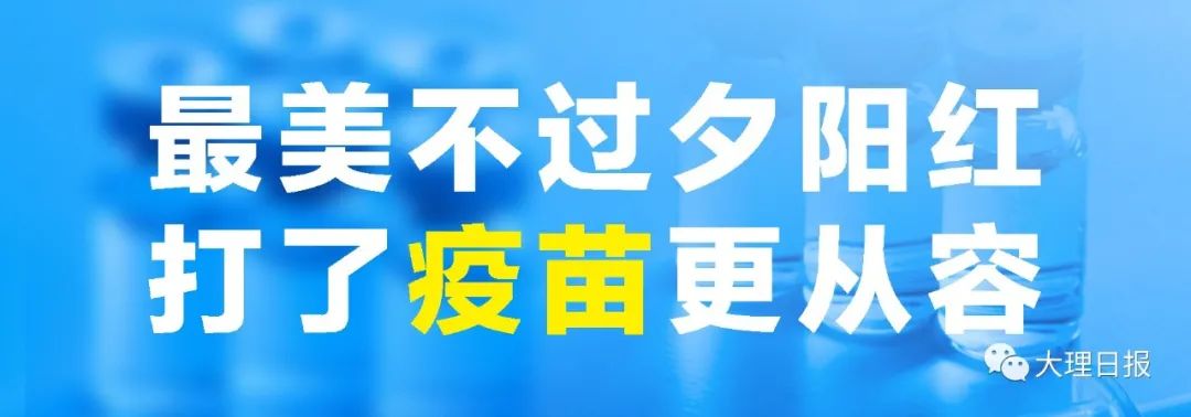 大理日报