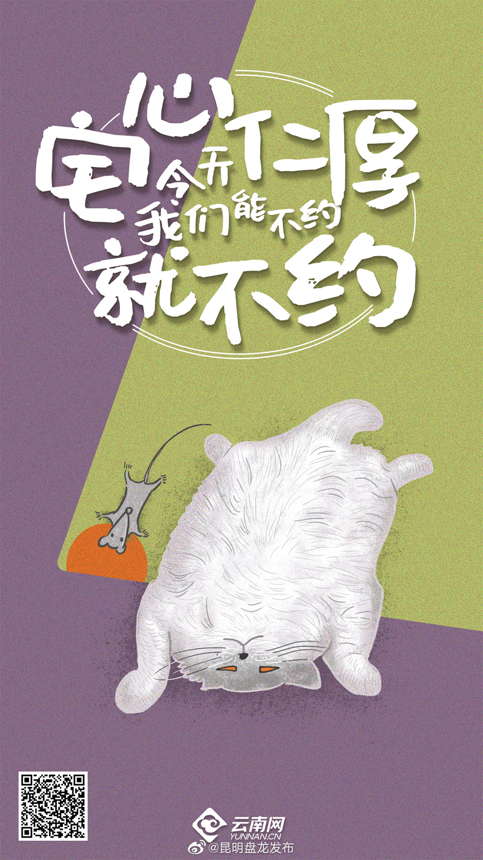 昆明盘龙发布