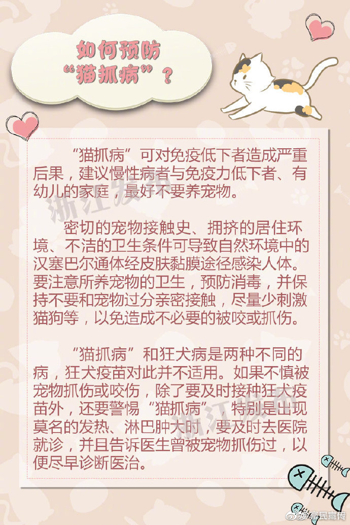 注意！“猫抓病”也可能致命