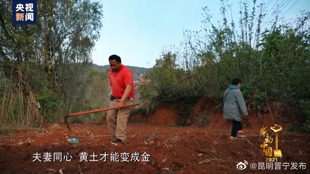这对云南夫妇感动中国！