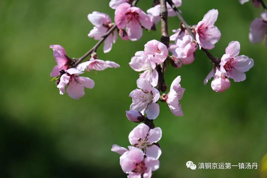 东川发布(微信)