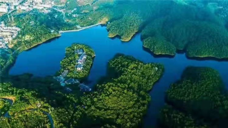 清廉普洱