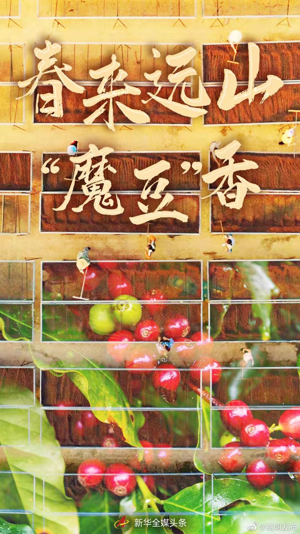 嵩明发布
