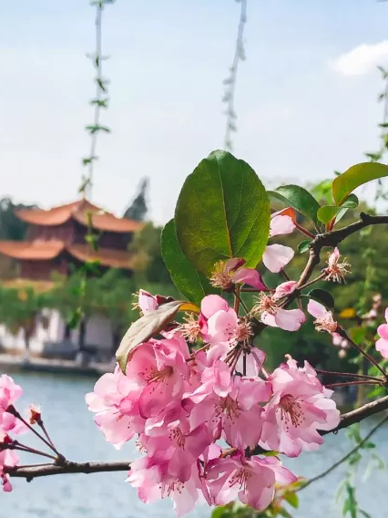 大观楼