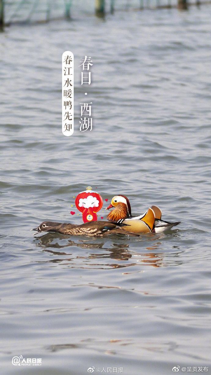 呈贡发布