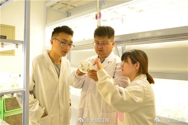 呈贡发布