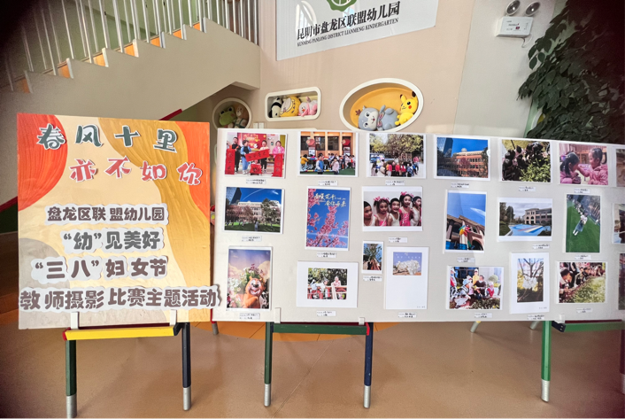 盘龙教育(微信)
