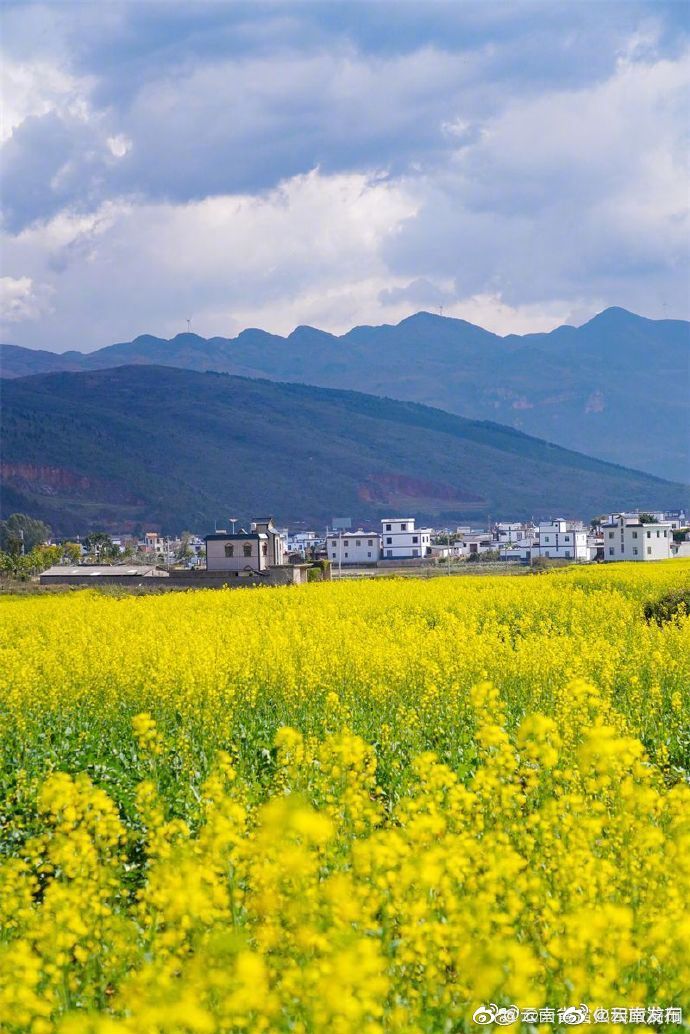 “云南发布”微博