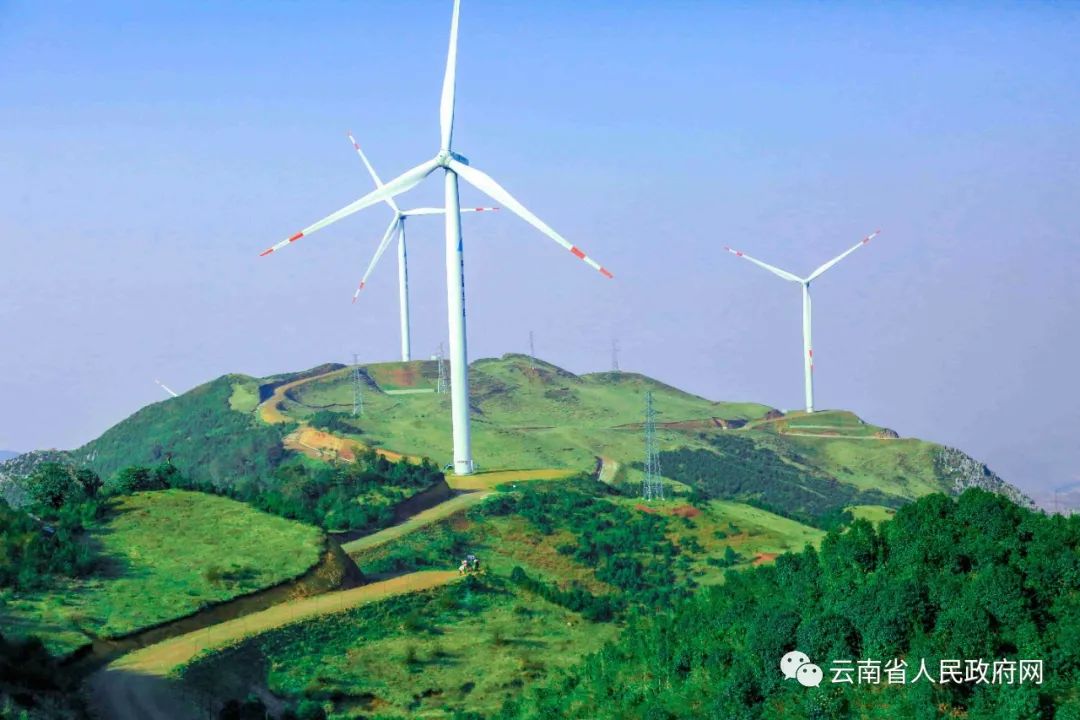 云南省人民政府网