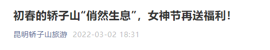 掌上春城微信公众号