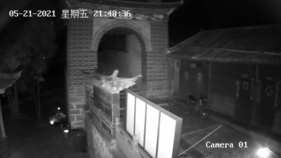 大理电视台