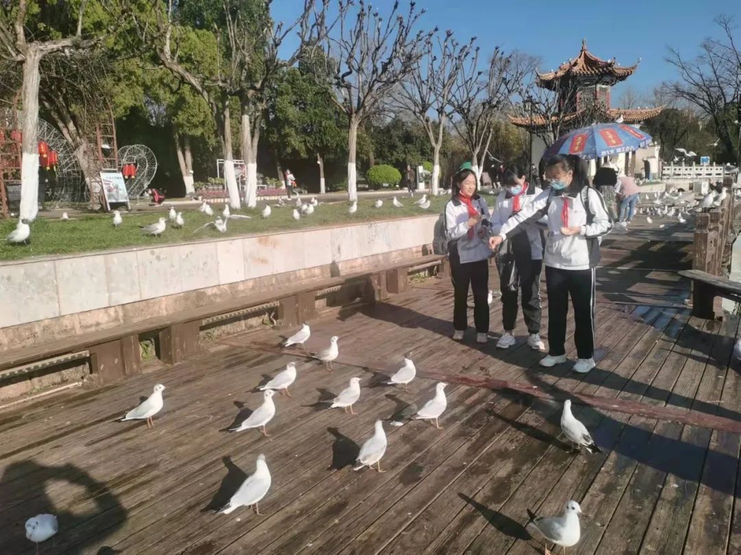 大观楼