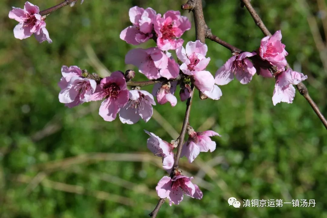 东川发布(微信)
