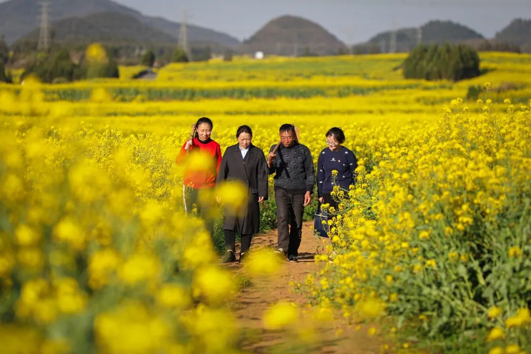 清风云南