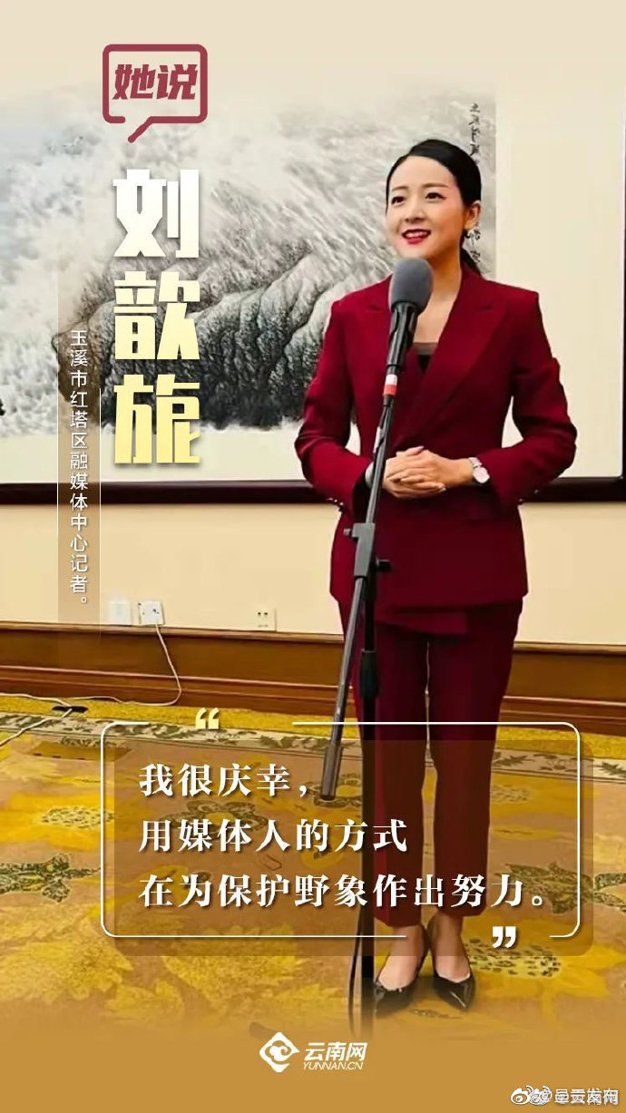 呈贡发布